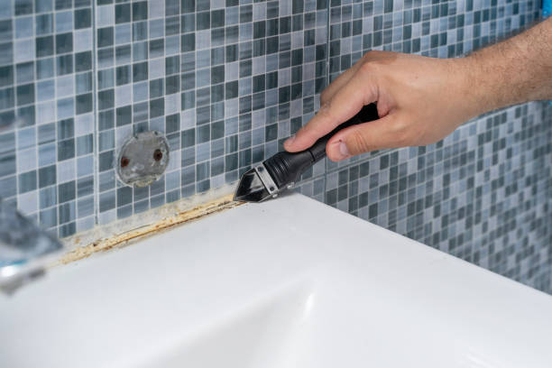 Mold Removal and Inspection in Crivitz, WI